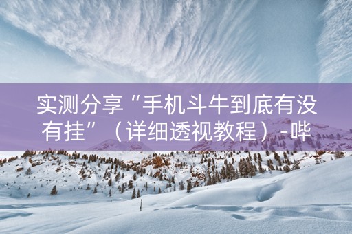 实测分享“手机斗牛到底有没有挂”（详细透视教程）-哔哩哔哩