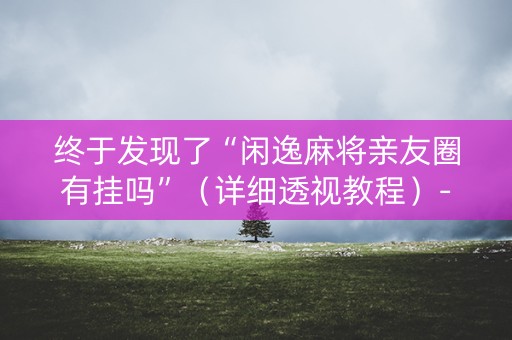 终于发现了“闲逸麻将亲友圈有挂吗”（详细透视教程）-哔哩哔哩