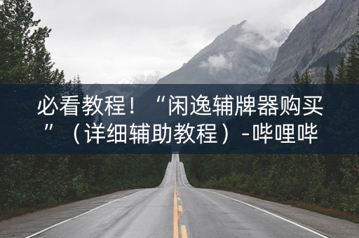 必看教程！“闲逸辅牌器购买”（详细辅助教程）-哔哩哔哩