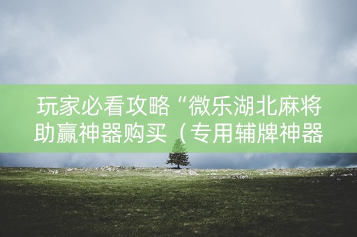 玩家必看攻略“微乐湖北麻将助赢神器购买（专用辅牌神器免安装）