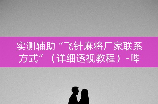 实测辅助“飞针麻将厂家联系方式”（详细透视教程）-哔哩哔哩
