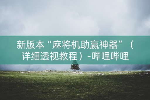 新版本“麻将机助赢神器”（详细透视教程）-哔哩哔哩