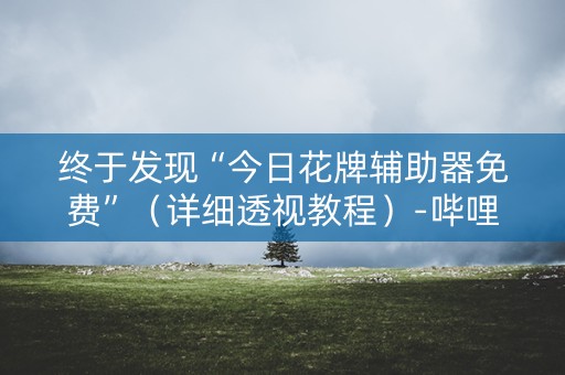 终于发现“今日花牌辅助器免费”（详细透视教程）-哔哩哔哩