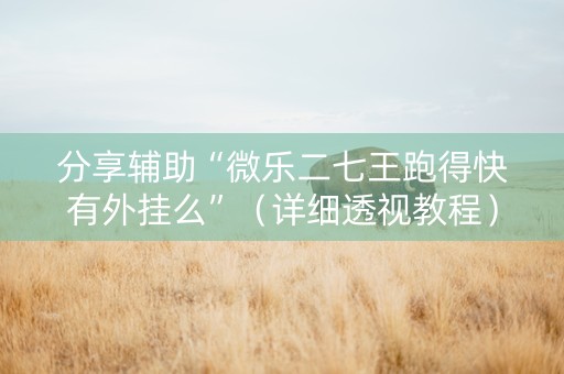 分享辅助“微乐二七王跑得快有外挂么”（详细透视教程）-哔哩哔哩