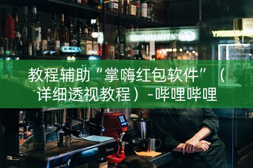教程辅助“掌嗨红包软件”（详细透视教程）-哔哩哔哩