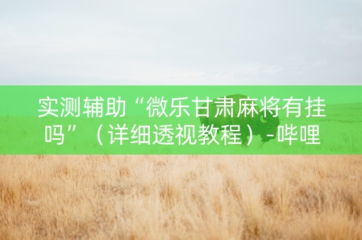 实测辅助“微乐甘肃麻将有挂吗”（详细透视教程）-哔哩哔哩