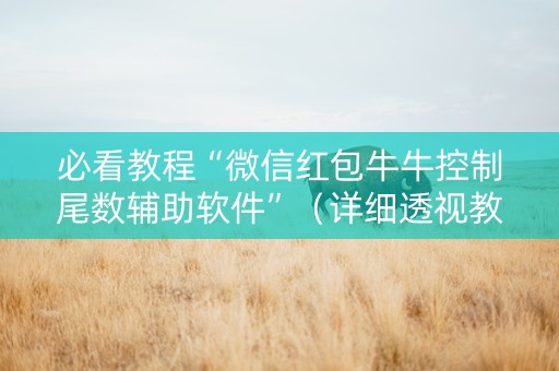 必看教程“微信红包牛牛控制尾数辅助软件”（详细透视教程）-哔哩哔哩