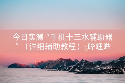 今日实测“手机十三水辅助器”（详细辅助教程）-哔哩哔哩