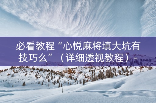 必看教程“心悦麻将填大坑有技巧么”（详细透视教程）-哔哩哔哩