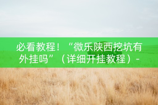 必看教程！“微乐陕西挖坑有外挂吗”（详细开挂教程）-哔哩哔哩