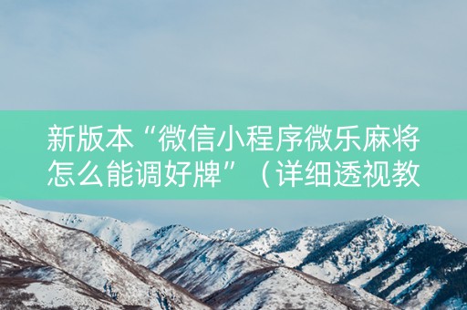 新版本“微信小程序微乐麻将怎么能调好牌”（详细透视教程）-哔哩哔哩