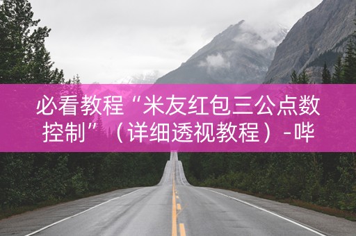 必看教程“米友红包三公点数控制”（详细透视教程）-哔哩哔哩