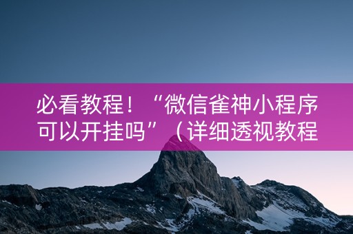 必看教程！“微信雀神小程序可以开挂吗”（详细透视教程）-哔哩哔哩