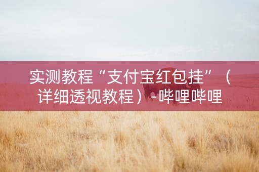 实测教程“支付宝红包挂”（详细透视教程）-哔哩哔哩