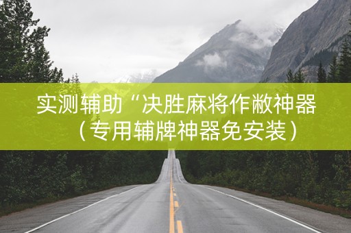 实测辅助“决胜麻将作敝神器（专用辅牌神器免安装）