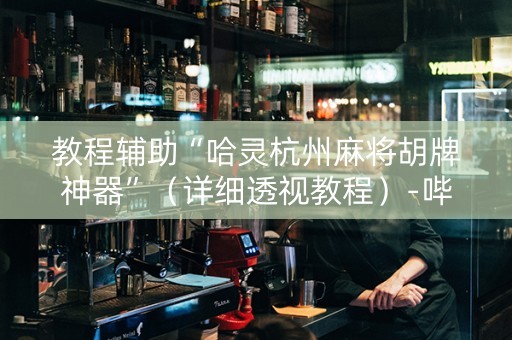 教程辅助“哈灵杭州麻将胡牌神器”（详细透视教程）-哔哩哔哩