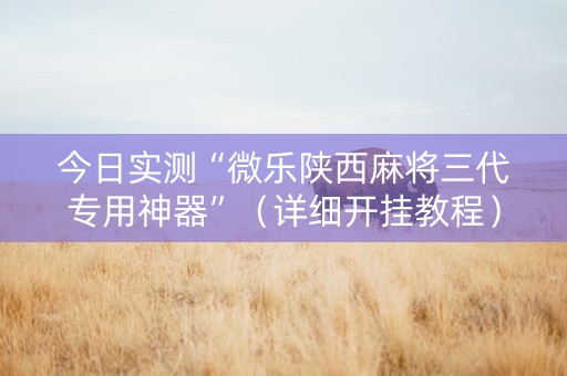 今日实测“微乐陕西麻将三代专用神器”（详细开挂教程）-哔哩哔哩