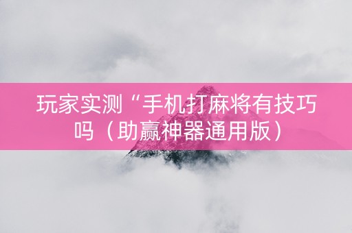 玩家实测“手机打麻将有技巧吗（助赢神器通用版）