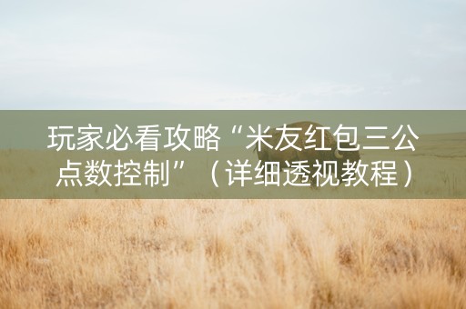 玩家必看攻略“米友红包三公点数控制”（详细透视教程）-哔哩哔哩