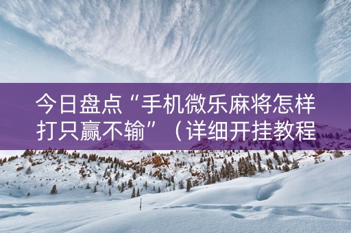 今日盘点“手机微乐麻将怎样打只赢不输”（详细开挂教程）-哔哩哔哩