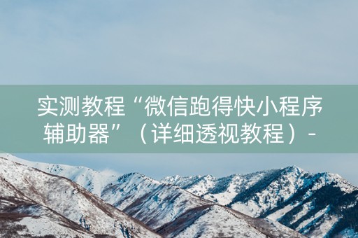 实测教程“微信跑得快小程序辅助器”（详细透视教程）-哔哩哔哩
