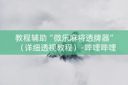 教程辅助“微乐麻将透牌器”（详细透视教程）-哔哩哔哩