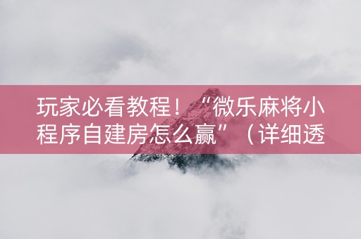 玩家必看教程！“微乐麻将小程序自建房怎么赢”（详细透视教程）-哔哩哔哩