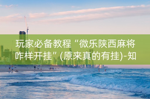 玩家必备教程“微乐陕西麻将咋样开挂”(原来真的有挂)-知乎