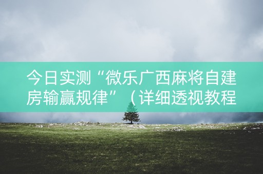 今日实测“微乐广西麻将自建房输赢规律”（详细透视教程）-哔哩哔哩