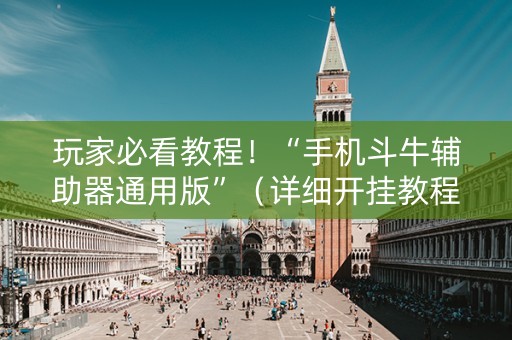 玩家必看教程！“手机斗牛辅助器通用版”（详细开挂教程）-哔哩哔哩