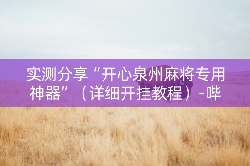 实测分享“开心泉州麻将专用神器”（详细开挂教程）-哔哩哔哩