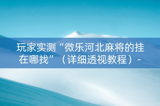 玩家实测“微乐河北麻将的挂在哪找”（详细透视教程）-哔哩哔哩