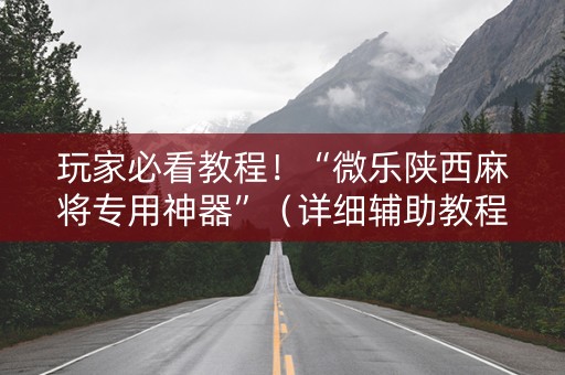 玩家必看教程！“微乐陕西麻将专用神器”（详细辅助教程）-哔哩哔哩