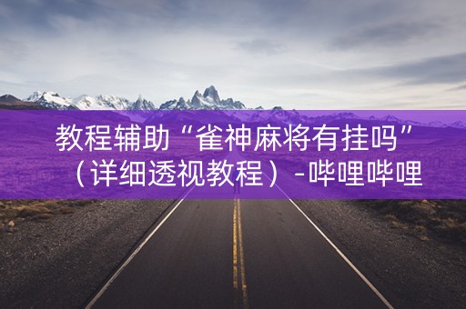 教程辅助“雀神麻将有挂吗”（详细透视教程）-哔哩哔哩