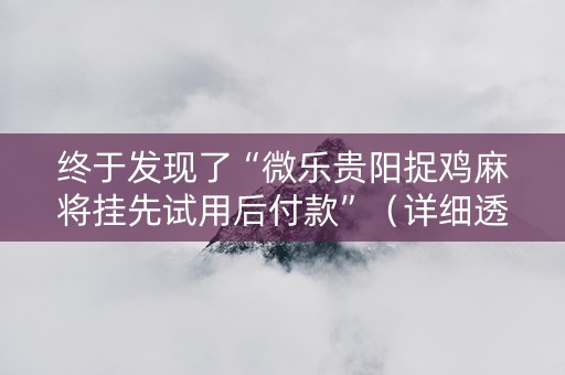 终于发现了“微乐贵阳捉鸡麻将挂先试用后付款”（详细透视教程）-哔哩哔哩