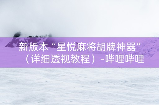 新版本“星悦麻将胡牌神器”（详细透视教程）-哔哩哔哩