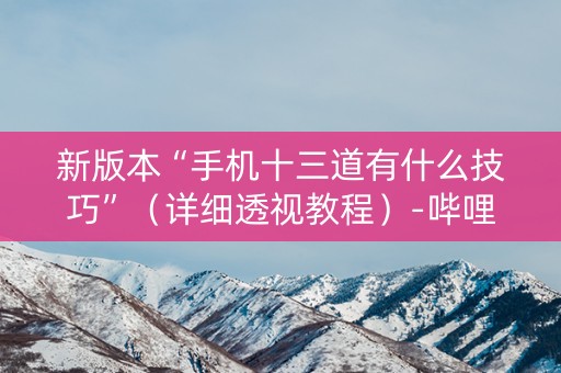 新版本“手机十三道有什么技巧”（详细透视教程）-哔哩哔哩