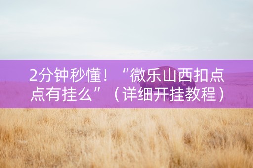 2分钟秒懂！“微乐山西扣点点有挂么”（详细开挂教程）-哔哩哔哩