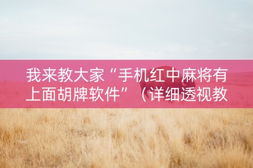 我来教大家“手机红中麻将有上面胡牌软件”（详细透视教程）-哔哩哔哩