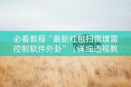 必看教程“最新红包扫雷埋雷控制软件外卦”（详细透视教程）-哔哩哔哩