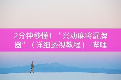 2分钟秒懂！“兴动麻将漏牌器”（详细透视教程）-哔哩哔哩