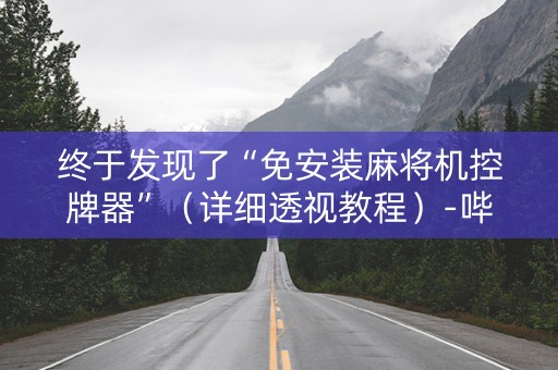 终于发现了“免安装麻将机控牌器”（详细透视教程）-哔哩哔哩