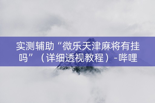 实测辅助“微乐天津麻将有挂吗”（详细透视教程）-哔哩哔哩