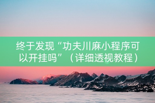 终于发现“功夫川麻小程序可以开挂吗”（详细透视教程）-哔哩哔哩