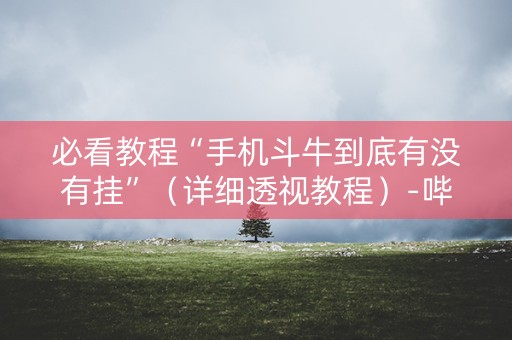 必看教程“手机斗牛到底有没有挂”（详细透视教程）-哔哩哔哩