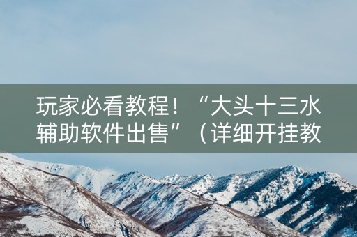 玩家必看教程！“大头十三水辅助软件出售”（详细开挂教程）-哔哩哔哩