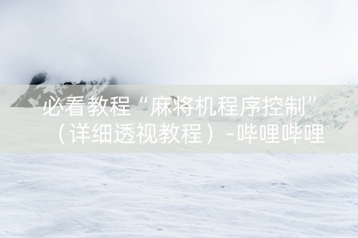 必看教程“麻将机程序控制”（详细透视教程）-哔哩哔哩