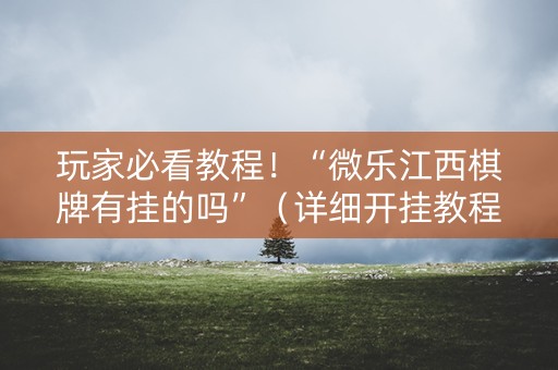 玩家必看教程！“微乐江西棋牌有挂的吗”（详细开挂教程）-哔哩哔哩