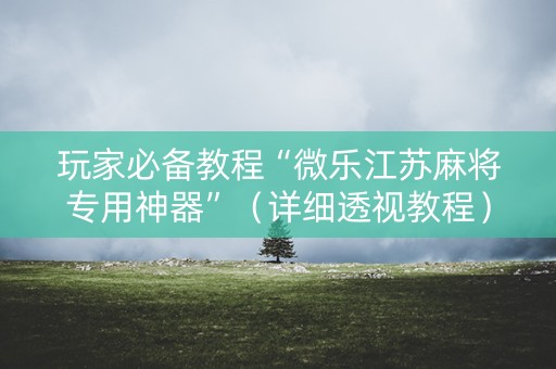 玩家必备教程“微乐江苏麻将专用神器”（详细透视教程）-哔哩哔哩