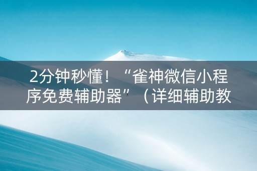 2分钟秒懂！“雀神微信小程序免费辅助器”（详细辅助教程）-哔哩哔哩